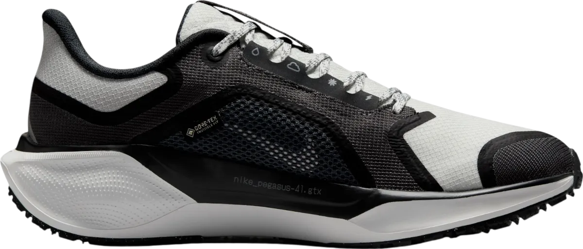 Nike Pegasus 41 GORE-TEX
